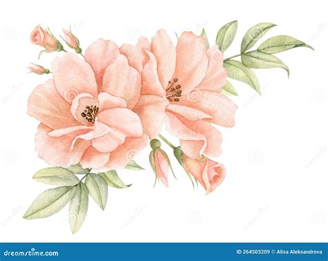 Flores De Color Rosa De Color Marrón Rosa Pastel Ilustración Floral