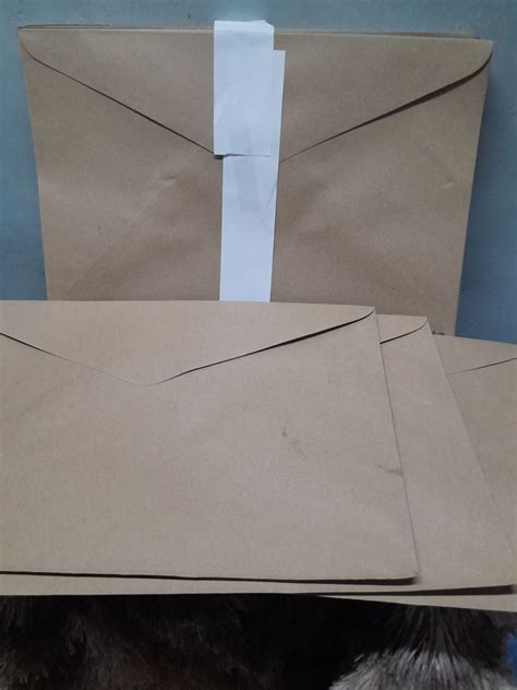 ENVELOPE LONG 25pcs Lazada PH