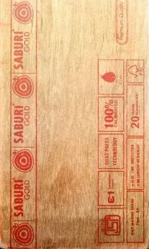 Gurjan Saburi Gold Plywood Thickness 9MM Size 8X4 At Rs 75 Square