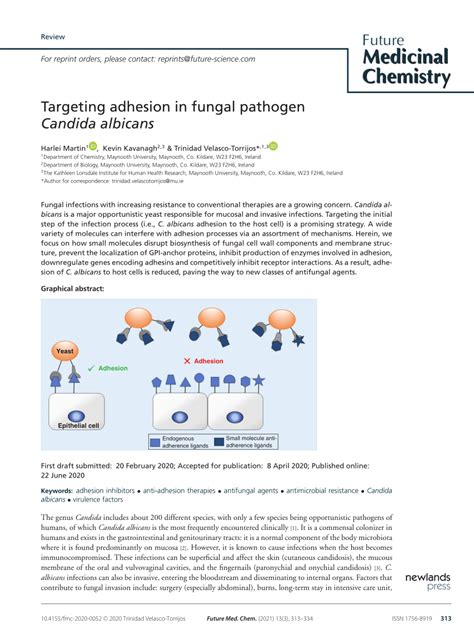 Pdf Targeting Adhesion In Fungal Pathogen Candida Albicans