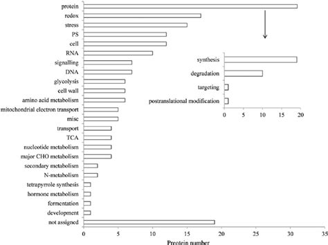 Functional Categories Of The Proteins During Pollination A Total Of