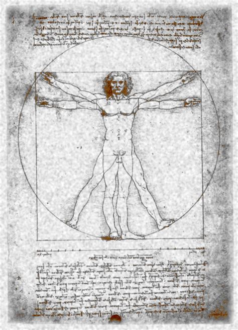 vitruvian-man3 | Humanist Media LLC