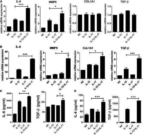 Frontiers Il 1 Il 17 Signaling Axis Contributes To Fibrosis And Inflammation In Two Different