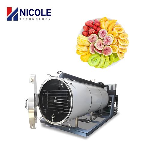 Customised Food Fruit And Vegetable Vacuum Pump Freeze Dryer