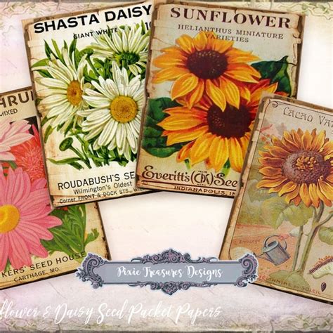 Vintage Sunflower Seed Packet Digital Etsy