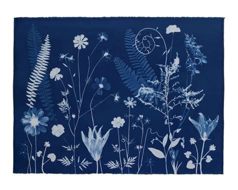 Julia Whitney Barnes Cyanotype Art Watercolor Paper