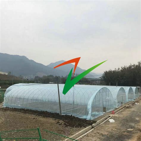 Single Film Tunnel Greenhouse Easy Assembly Hot Dip Galvanized Steel