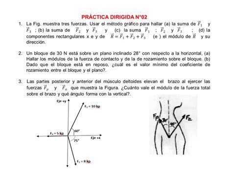 Biofisica Upao I Fuerza Resultante Equilibrio La Figura Muestra