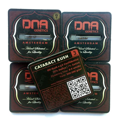 DNA Genetics | Cataract Kush Seeds | Green Parrot