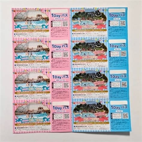 東京都競馬 株主優待券 東京サマーランド 1dayパス 8枚の通販 By サンライズs Shop｜ラクマ