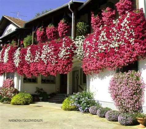 Beautiful Balcony Flower Box Garden