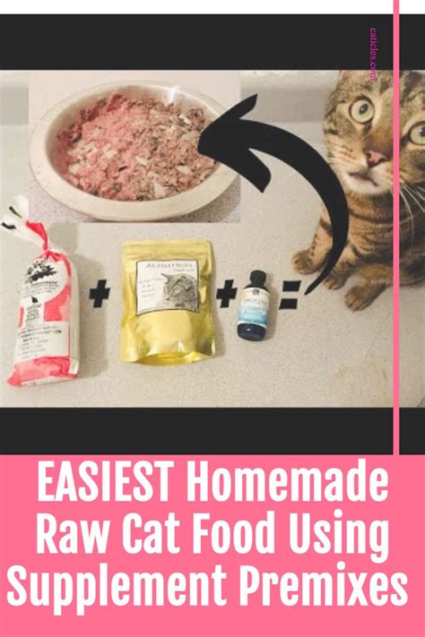 Simple Raw Cat Food At Home No Grinder Raw Cat Food Recipes Homemade Raw Cat Food Healthy