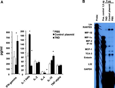 Critical Role For Monocyte Chemoattractant Protein 1 And Macrophage