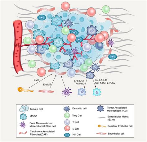 Frontiers Potential Strategies To Improve The Effectiveness Of Drug