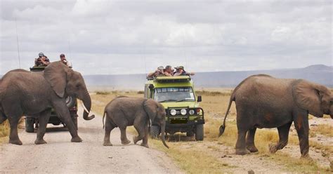 4 Giorni Di Safari Di Lusso Ad Aberdare E Samburu In Jeep 4x4