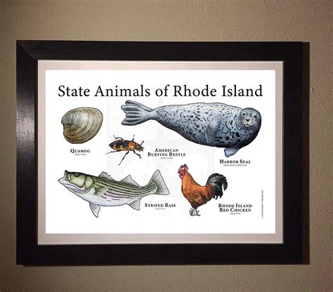 Rhode Island State Animals Poster Print Etsy