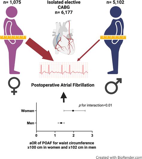 Sex Specific Cardiometabolic Determinants Of Postoperative Atrial