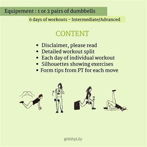 Home Workout Plan Dumbbells Only Strength Training Fitness Program ...