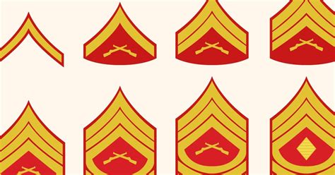 What Are the Marine Corps Ranks?