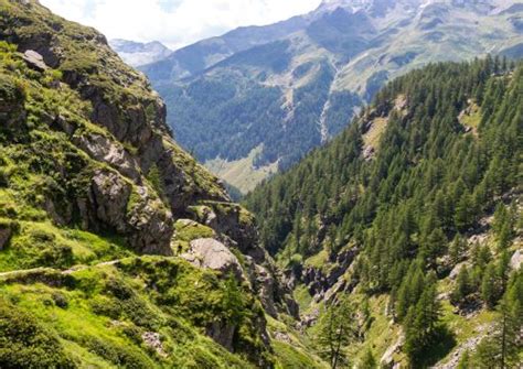 Energia E Natura Trekking E Passeggiate Sentiero Del Cardinello