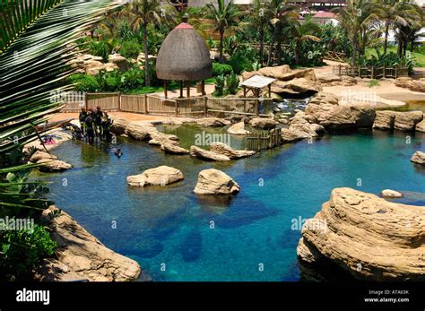 Snorkel Lagoon At The Ushaka Marine World Theme Park Durban South