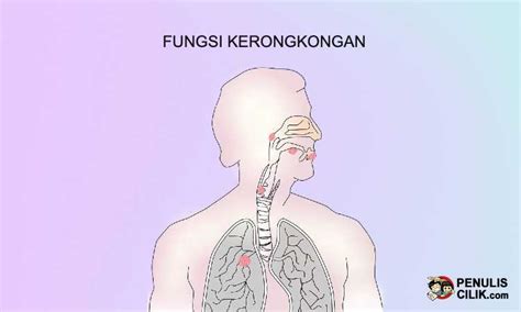 Gambar Kerongkongan – pulp