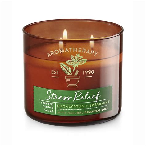 Bath Body Works Aromatherapy Eucalyptus Spearmint Wick Candle