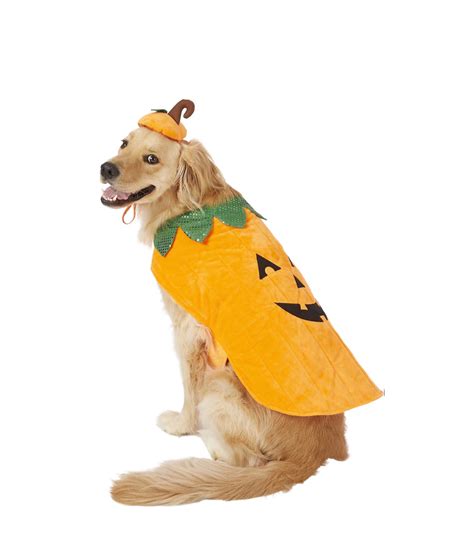 25 Best Dog Halloween Costumes Of 2024