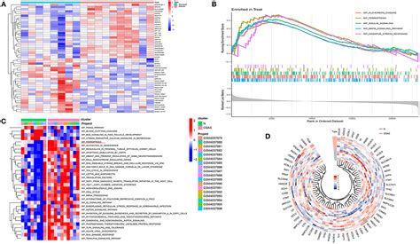 Frontiers Identification And Validation Of Ferroptosis Related Hub Genes In Obstructive Sleep