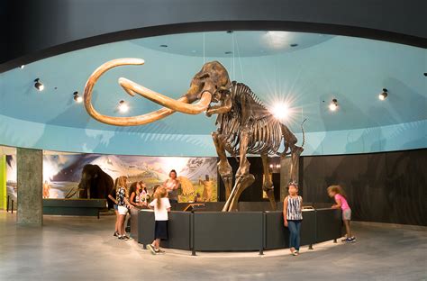 La Brea Tar Pits Museum – Suisman Urban Design