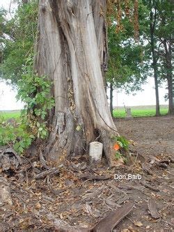 Joseph Renfro Find A Grave Memorial