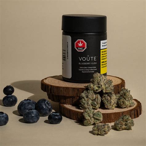 La Voûte Blueberry Kush Origine Nature