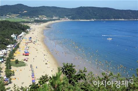 완도 신지명사십리해수욕장 국내 최초 친환경 인증 아시아경제