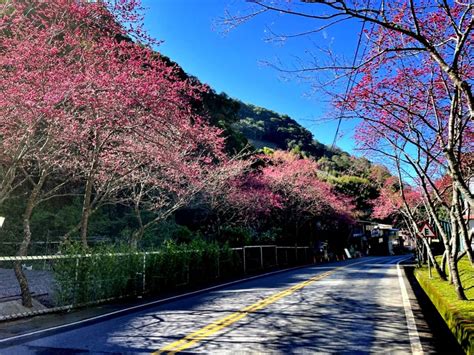 228連假好天氣恐爆出遊潮！省道21處易塞路段、時段一次掌握 新頭殼 Line Today