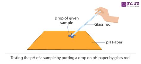 Ph Of Samples Experiment Cbse Class 10 Science Practicals