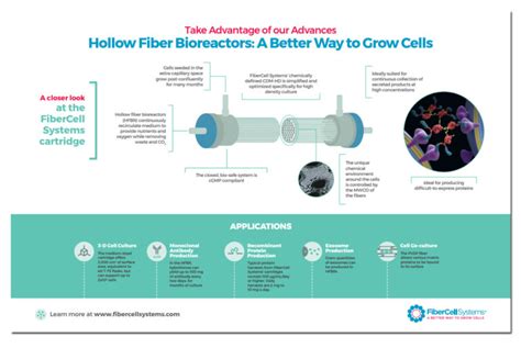 The Advantages Of Hollow Fiber Bioreactors In Cell Culture FiberCell