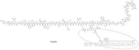 司美格鲁肽、替尔泊肽——脂化修饰多肽药物之光 知乎