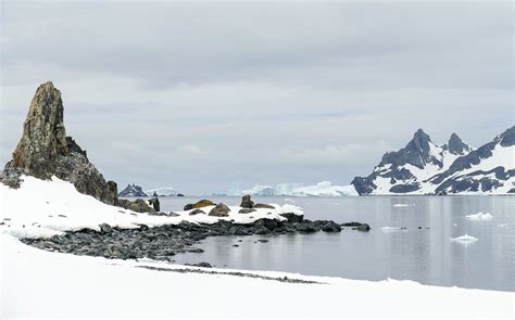 How to Visit Half Moon Island on an Antarctica Cruise with Seabourn