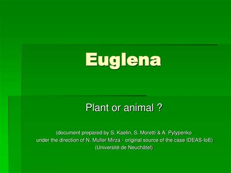 Ppt Euglena Powerpoint Presentation Free Download Id156443