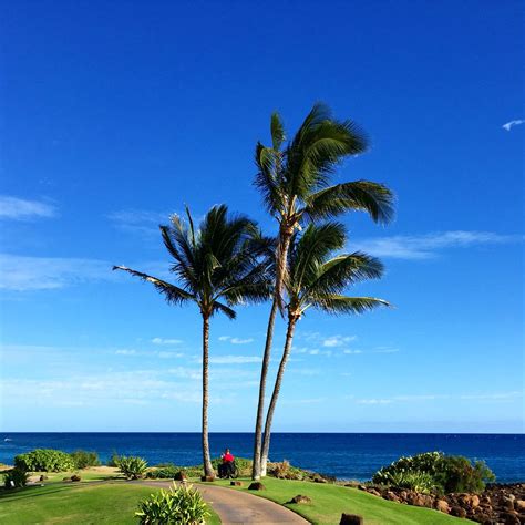 Grand Hyatt Kauai | Grand hyatt kauai, Grand hyatt, Favorite places