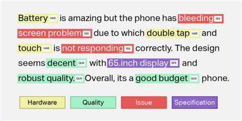 Customer Feedback Analysis Through Entity Tagging And Sentiment