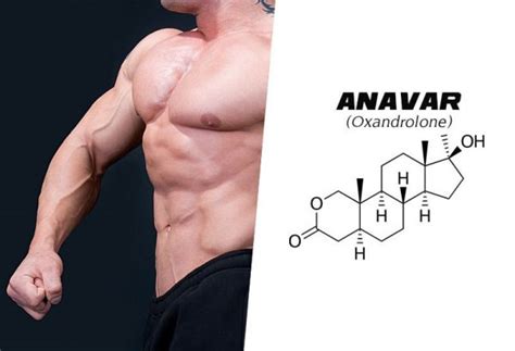 The Ultimate Beginners Guide To Anabolic Steroids Sarms And Performance Enhancement