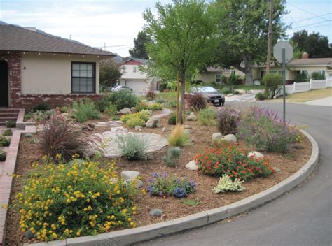 54 Drought Tolerant Front Yard - Domaci Design