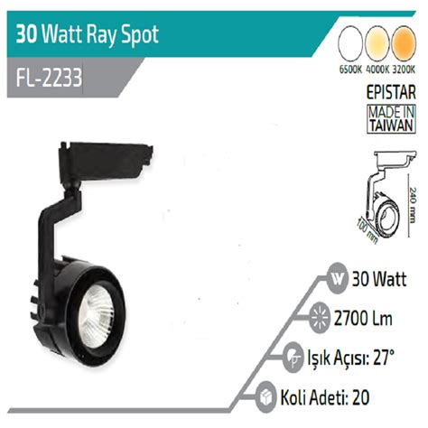 30W SİYAH KASA RAY SPOT BEYAZ IŞIK 6500K