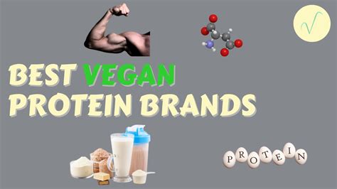 Best Vegan Protein Brands - Veganising It