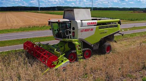 Veldbonen Tarwe Dorsen Harvesting Field Beans Wheat Claas