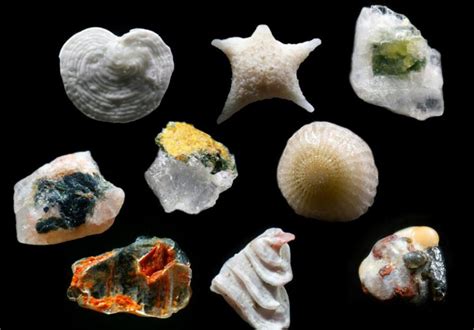 This Is How Amazing Sand Looks When It S Magnified Up To Times