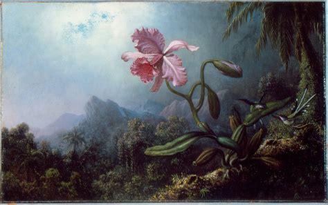 Two Hummingbirds With An Orchid Martin Johnson Heade Artwork On Useum