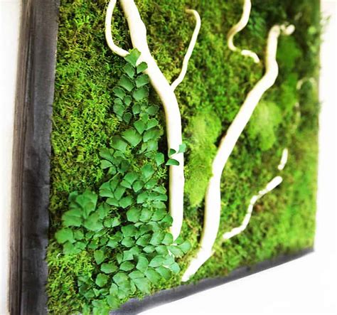 Artisan Moss No Care Green Wall Art Noveltystreet