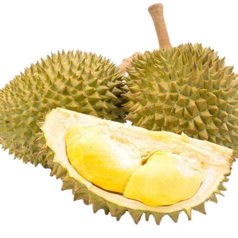 Freeze Dried Durian Durian From Thailand High Quality Premium For